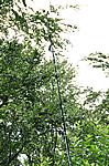 2m / 70cm Antenne, sehr Naturverbunden ...